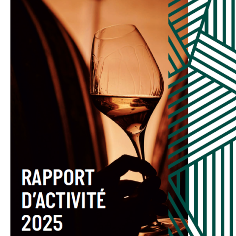 Rapport d'activité 2025