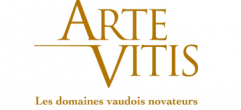 Arte vitis