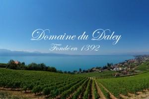 Domaine du Daley 