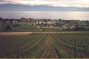 Clos sus l'Abbaye