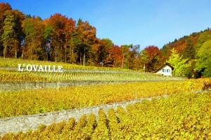 Domaine de l'Ovaille