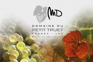 Domaine du Petit Truet